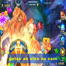 gatas ao vivo na cam